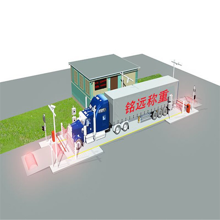 SCS100t地称厂家定制