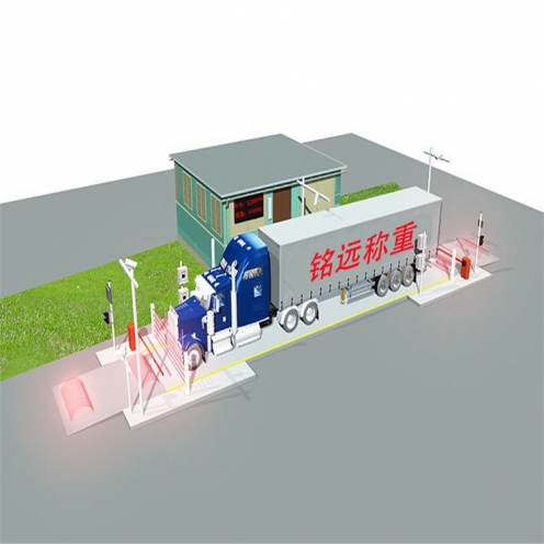 SCS100t地称厂家定制