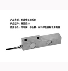沈阳100吨电子衡器厂家